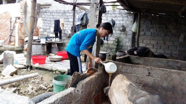 Éo le, nữ sinh mồ côi cha ngậm ngùi nhìn giấy báo nhập học ĐH Y ảnh 4