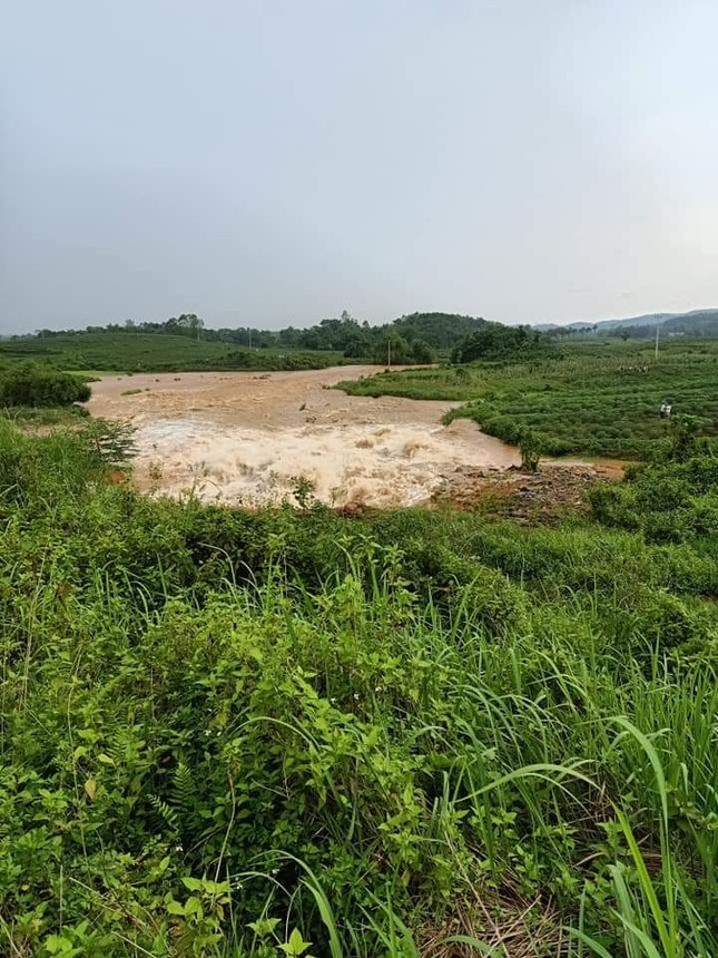 Phú Thọ vỡ đập thủy lợi, khẩn cấp di dời các hộ dân ảnh 5
