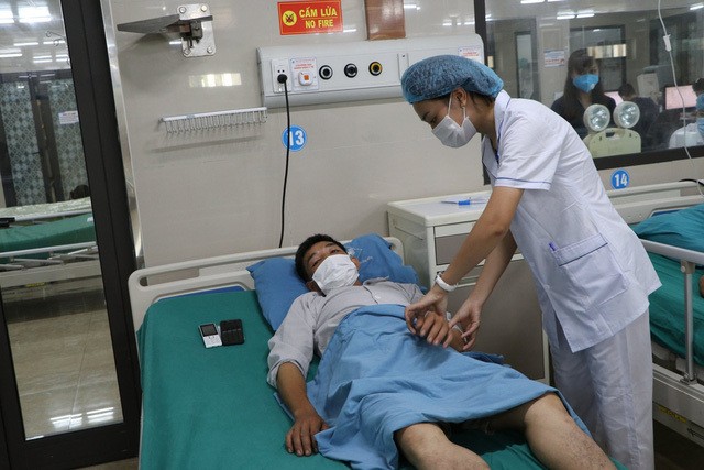 Người đàn ông sốc phản vệ, nguy kịch do bị kiến xoan đốt ảnh 1