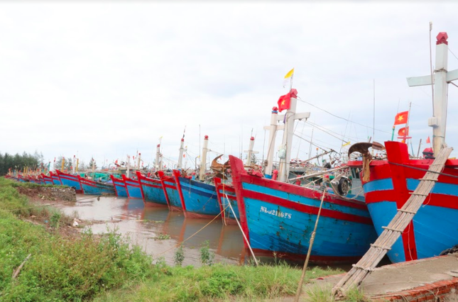 Bão chuyển thành áp thấp, Nam Định mưa ngập một số nơi ảnh 3