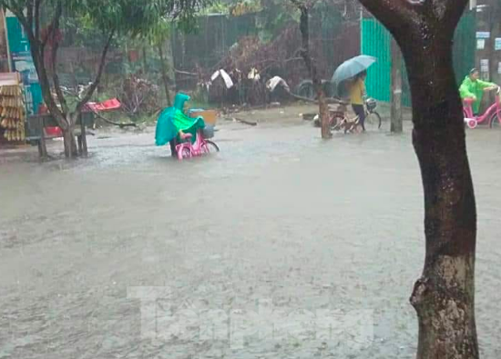 Mưa lớn kéo dài, các tuyến phố Thái Bình thất thủ, biến thành sông ảnh 7