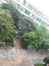 Mưa lớn kéo dài, các tuyến phố Thái Bình thất thủ, biến thành sông ảnh 17