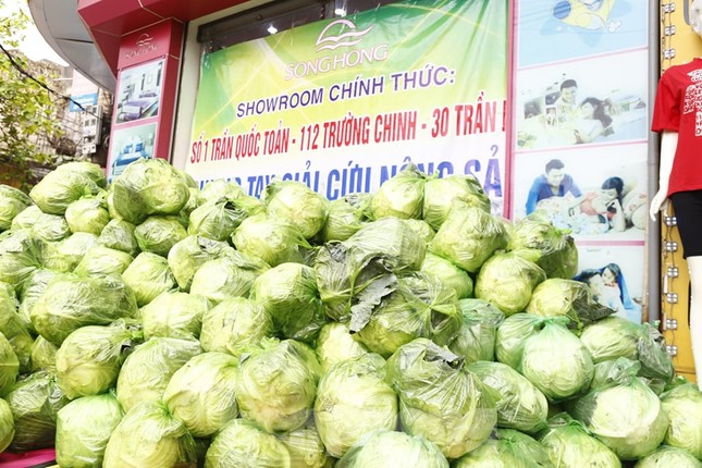 Giải cứu hàng chục tấn nông sản cho Hải Dương ảnh 1