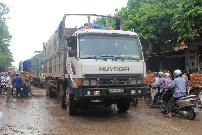Thương lái Trung Quốc đổ xô mua vải thiều Bắc Giang ảnh 14