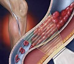 Estrogen, không phải cứ thiếu là bù ảnh 1