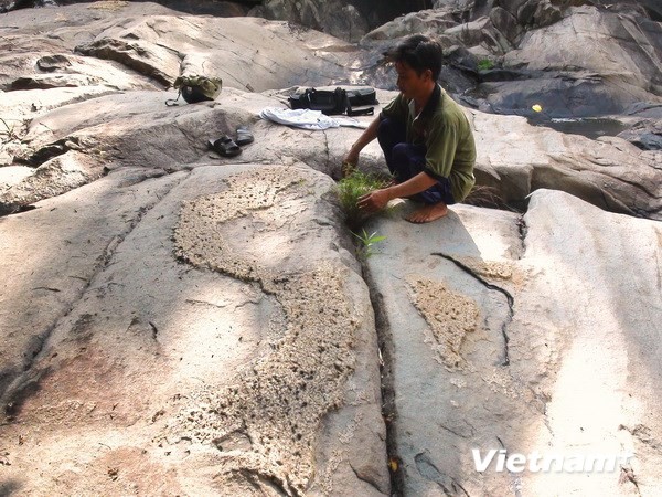 Phát hiện phiến đá trong rừng có hình bản đồ Việt Nam ảnh 3
