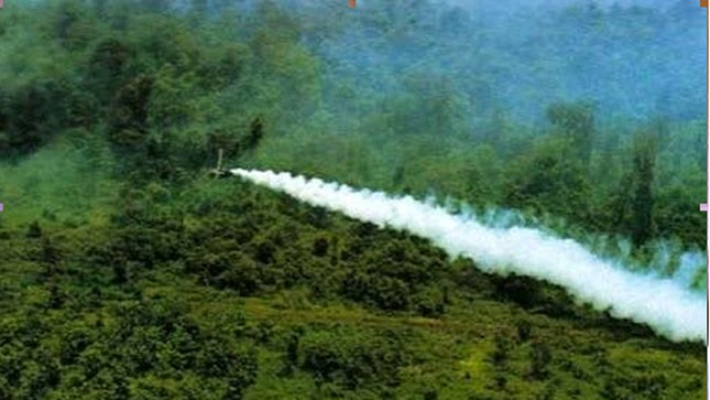 Những ngọn đèn trước gió ảnh 1