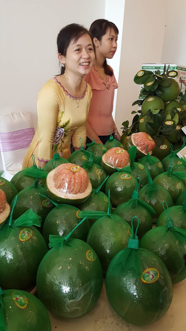 Đặc sản bưởi da xanh và dừa xiêm xanh có chỉ dẫn địa lý ảnh 1