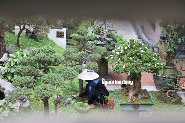 Tướng Phan Văn Vĩnh ở đâu trước khi bị bắt? ảnh 7