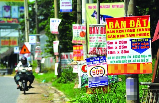 Siết phân lô bán nền trái phép, hủy bán hơn 30 ha đất công giá 'bèo' ảnh 4
