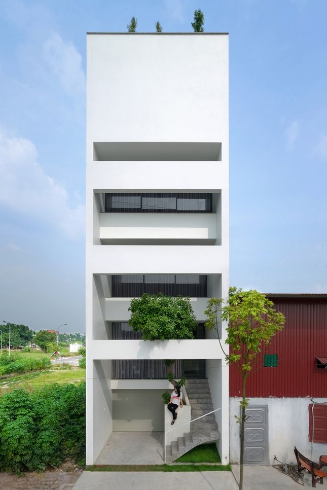 Nhà phố nhỏ hẹp đẹp hút mắt nhờ thiết kế thông minh ảnh 1