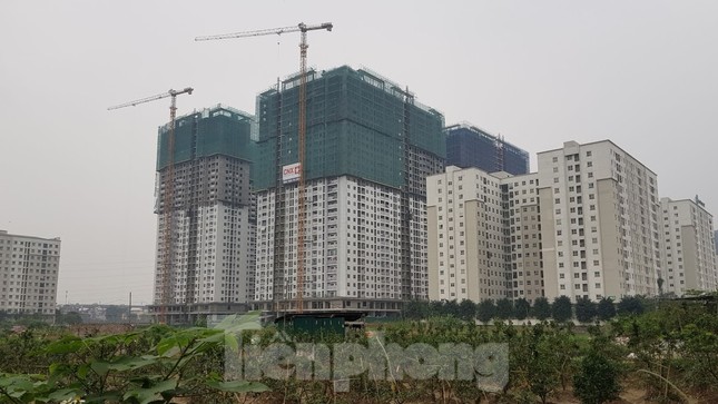 Ít chịu ảnh hưởng dịch COVID-19, bất động sản xin hỗ trợ có hợp lý? ảnh 2