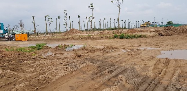 Hưng Yên 'xử' tiếp 3 doanh nghiệp san lấp trái phép đất trồng lúa ảnh 1