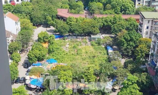 Lo ngại ô 'đất vàng' cuối cùng thành cao ốc, thu hồi siêu dự án triệu đô lấn vịnh ảnh 1