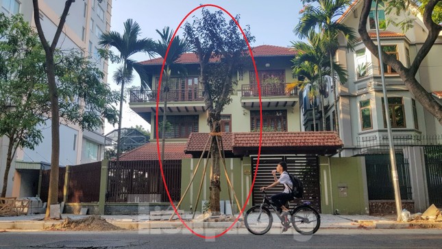 Biệt thự đô thị kiểu mẫu Hà Nội tự chặt cây, lát vỉa hè sai quy hoạch ảnh 4