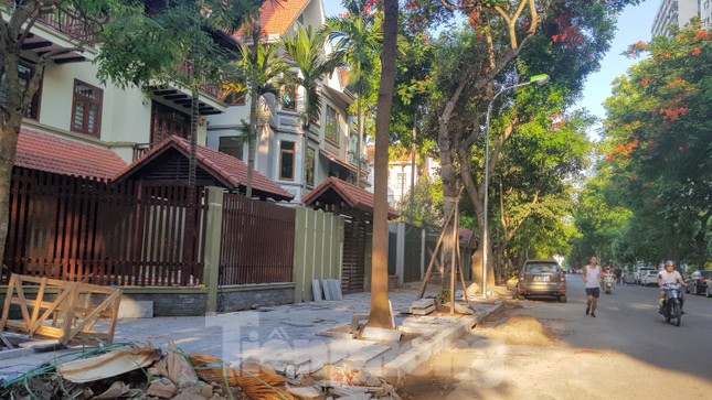 Biệt thự đô thị kiểu mẫu Hà Nội tự chặt cây, lát vỉa hè sai quy hoạch ảnh 1