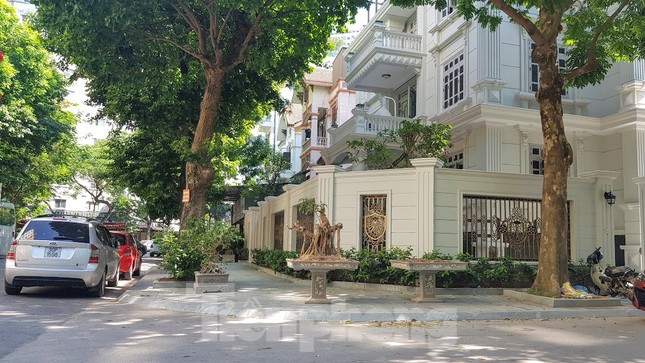Vụ chủ biệt thự tự ý chặt cây, lát vỉa hè trái phép: Xử lý trách nhiệm cán bộ ảnh 3