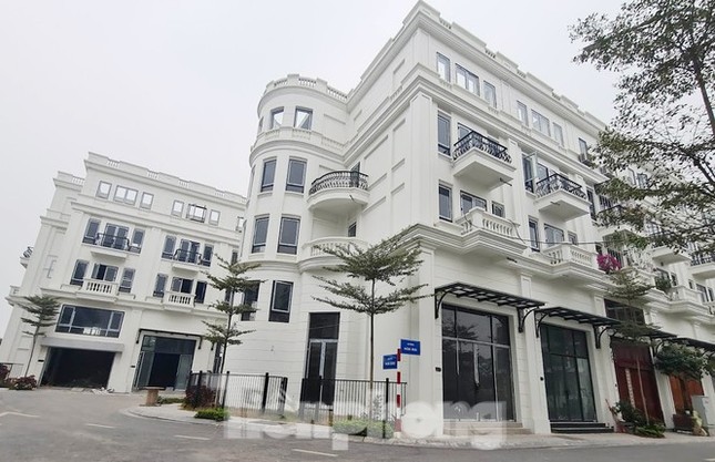 Giao 'đất vàng' giá bèo làm khu đô thị, rộ biệt thự phá vỡ quy hoạch ảnh 1