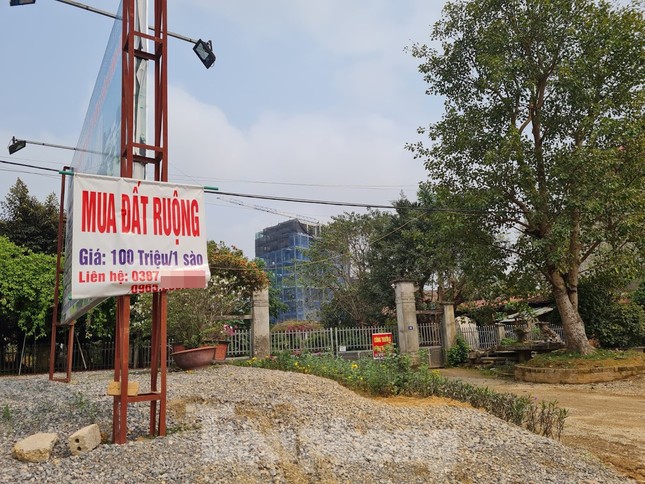 Đủ chiêu trò bán đất rừng, đất ruộng... trong cơn sốt đất quay cuồng ảnh 2