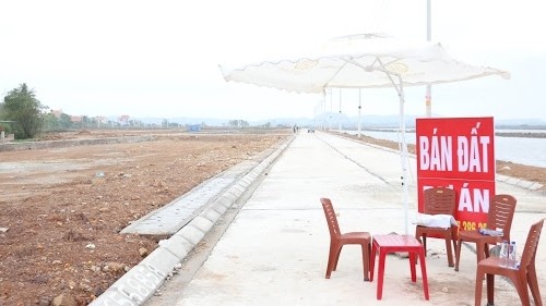 Nhiều tỉnh thành ra tay ngăn chặn, cảnh báo cơn sốt đất 'điên đảo' ảnh 1