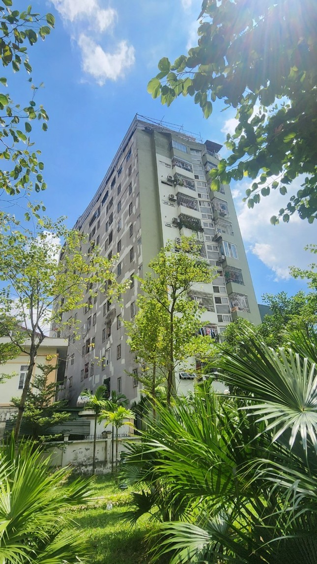 Nhà ở văn phòng biến chung cư mini cả trăm căn hộ, lại nới tiến độ dự án của Bitexco ảnh 1
