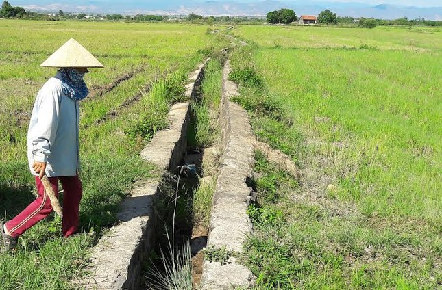 Vụ thi công 28 triệu, khai khống 1 tỷ: ‘Lỗi do tập thể’ ảnh 1