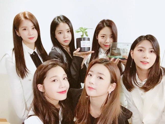 Fans tranh cãi vì gương mặt lệch vẹo của thần tượng nhóm Apink ảnh 3