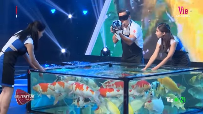Bất ngờ màn trình diễn hơn 8 tỷ đồng của ‘vua cá koi’ ở 'Siêu trí tuệ Việt Nam' ảnh 4