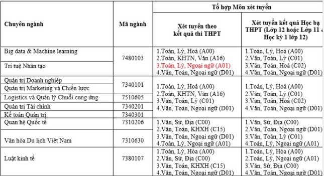 Các Chương trình Tài năng - học 5 năm lấy bằng Thạc sĩ ảnh 4