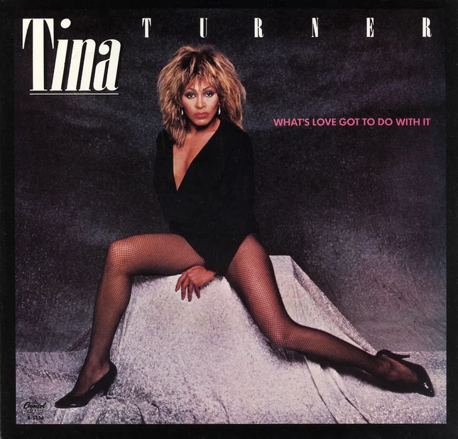 Đôi chân nổi tiếng 3,2 triệu USD của huyền thoại Tina Turner ảnh 2