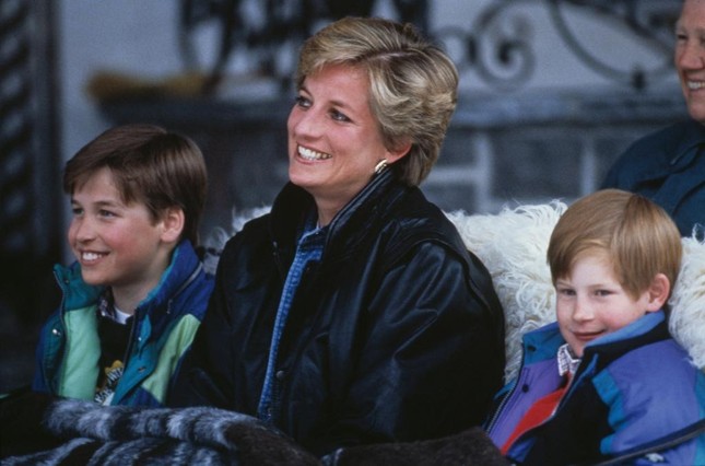 Người duy nhất có thể hàn gắn William và Harry ảnh 1