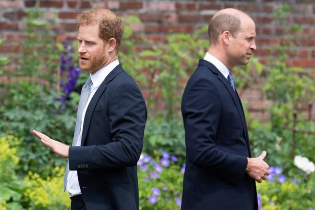 Người duy nhất có thể hàn gắn William và Harry ảnh 2
