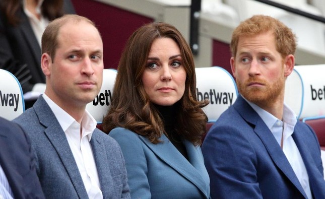 Công nương Kate chìa cành ô liu với Harry ảnh 1