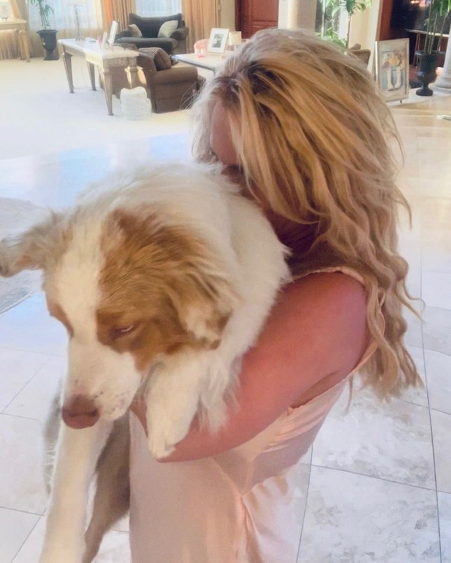 Britney Spears phá vỡ sự im lặng: ‘Tôi không thể chịu đựng được nỗi đau nữa’ ảnh 3