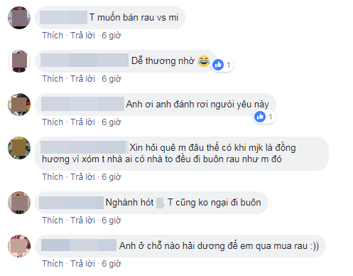 Chàng trai Hải Dương thu nhập nghìn đô/ tháng buồn rầu lên mạng hỏi: "Bán rau có gì sai"? ảnh 3