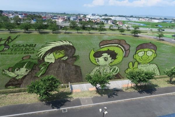 Chuyện chỉ có ở Nhật Bản: Nghệ thuật trên đồng lúa ảnh 5