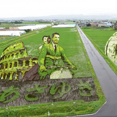 Chuyện chỉ có ở Nhật Bản: Nghệ thuật trên đồng lúa ảnh 9