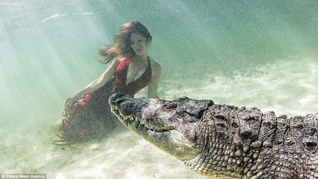 Chiêm ngưỡng bộ ảnh người đẹp bên... cá sấu ảnh 2