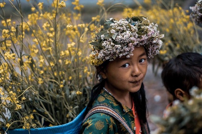 Mùa hoa vùng Tây Bắc đẹp mê hồn với hình ảnh các em bé kết vòng hoa đội đầu ảnh 5