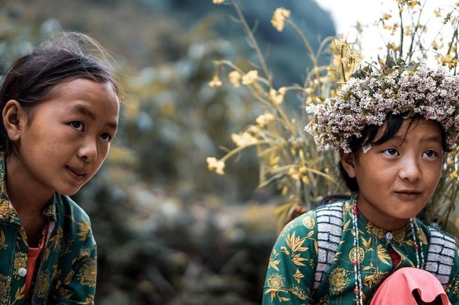 Mùa hoa vùng Tây Bắc đẹp mê hồn với hình ảnh các em bé kết vòng hoa đội đầu ảnh 9
