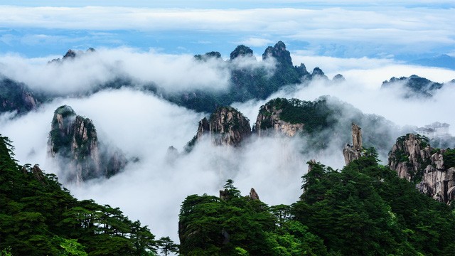 Cảm động người chồng cõng vợ tàn tật du lịch khắp nơi ảnh 2