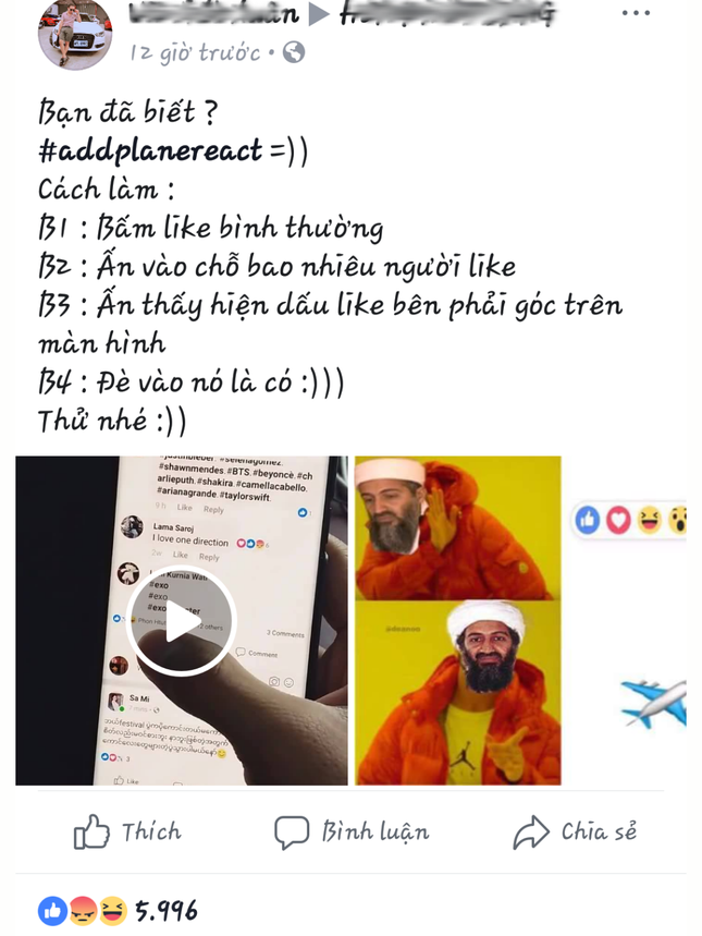 Biểu tượng cảm xúc máy bay đã bị Facebook vô hiệu hóa chỉ sau một ngày gây bão MXH ảnh 2