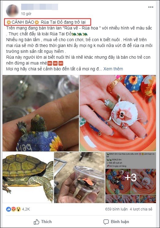 Thực hư về những con rùa nhiều màu sắc đang được rao bán tràn lan trên Facebook ảnh 3