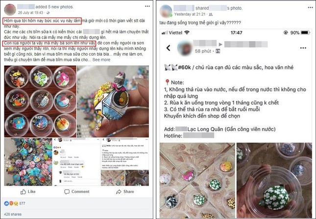 Thực hư về những con rùa nhiều màu sắc đang được rao bán tràn lan trên Facebook ảnh 2
