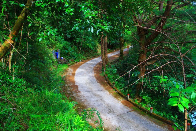 Khám phá Bạch Mã: Khu nghỉ dưỡng siêu đẹp bị lãng quên ảnh 24