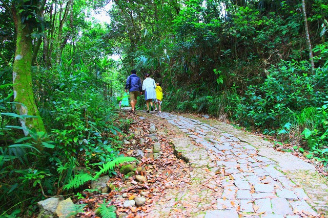 Khám phá Bạch Mã: Khu nghỉ dưỡng siêu đẹp bị lãng quên ảnh 31