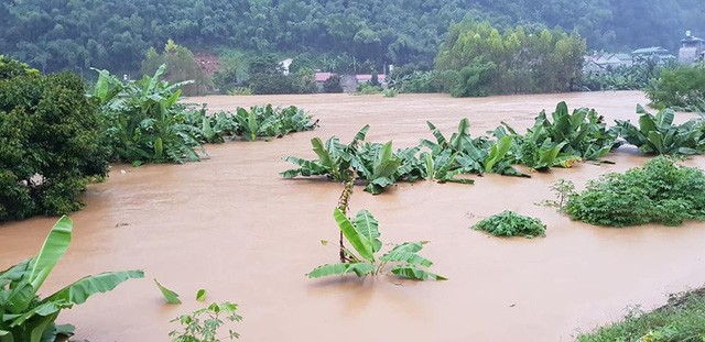 Kinh hoàng cảnh lũ lụt 10 năm rồi mới thấy ở Sơn La ảnh 3
