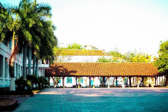 Trường nhà người ta: Quanh năm hoa khoe sắc, sinh viên tha hồ ngắm vịnh Nha Trang xinh đẹp ảnh 8