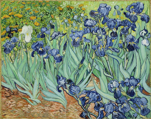 Van Gogh trong những ngày tháng “tột cùng đau khổ và tột đỉnh sáng tạo” ảnh 5