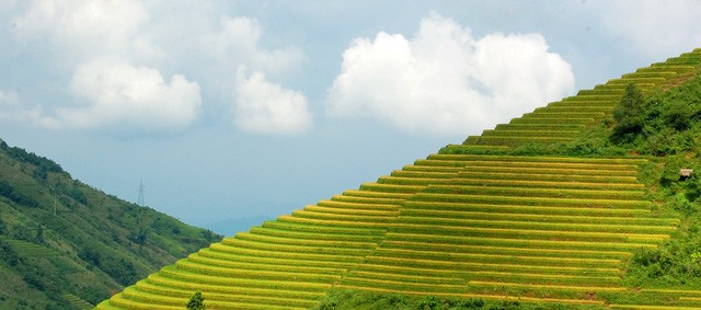 Thu về chiêm ngưỡng những ruộng bậc thang đẹp nhất Việt Nam ảnh 1